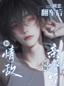 被他亲懵了未删减