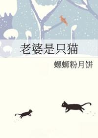 老婆是只猫猫