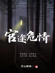 官途危情 笔趣阁
