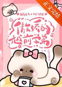 all越前傲娇少年