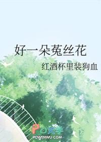 菟丝花是什么