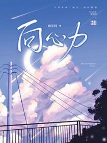 向心力公司是做什么的