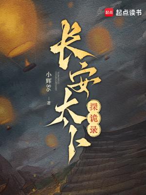 长安探案街txt