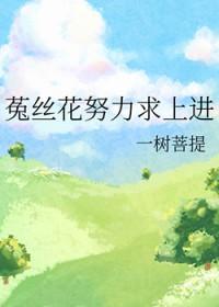 菟丝花代表什么