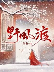 野风渡最新章节更新时间查询表