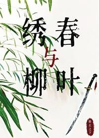 锦衣之下之绣春刀主要内容简介