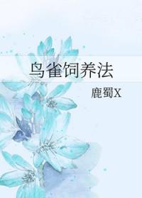 海贼王里的鸟人