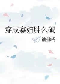 穿成寡夫