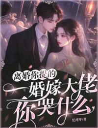二婚嫁大佬