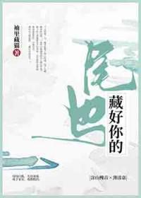 藏好你的尾巴金十六