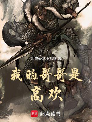 我的哥哥是高欢免费阅读无弹窗