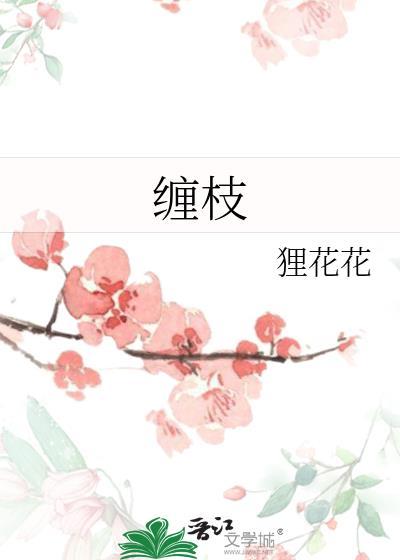 缠枝莲纹
