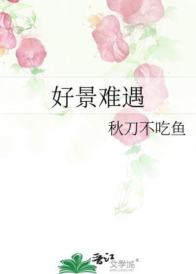 好景难遇如我一般