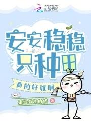 安安稳稳是什么呢