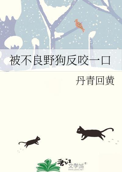 野狗咬宠物狗