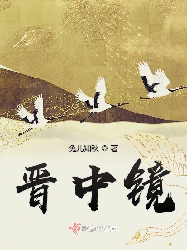 晋中镜gl