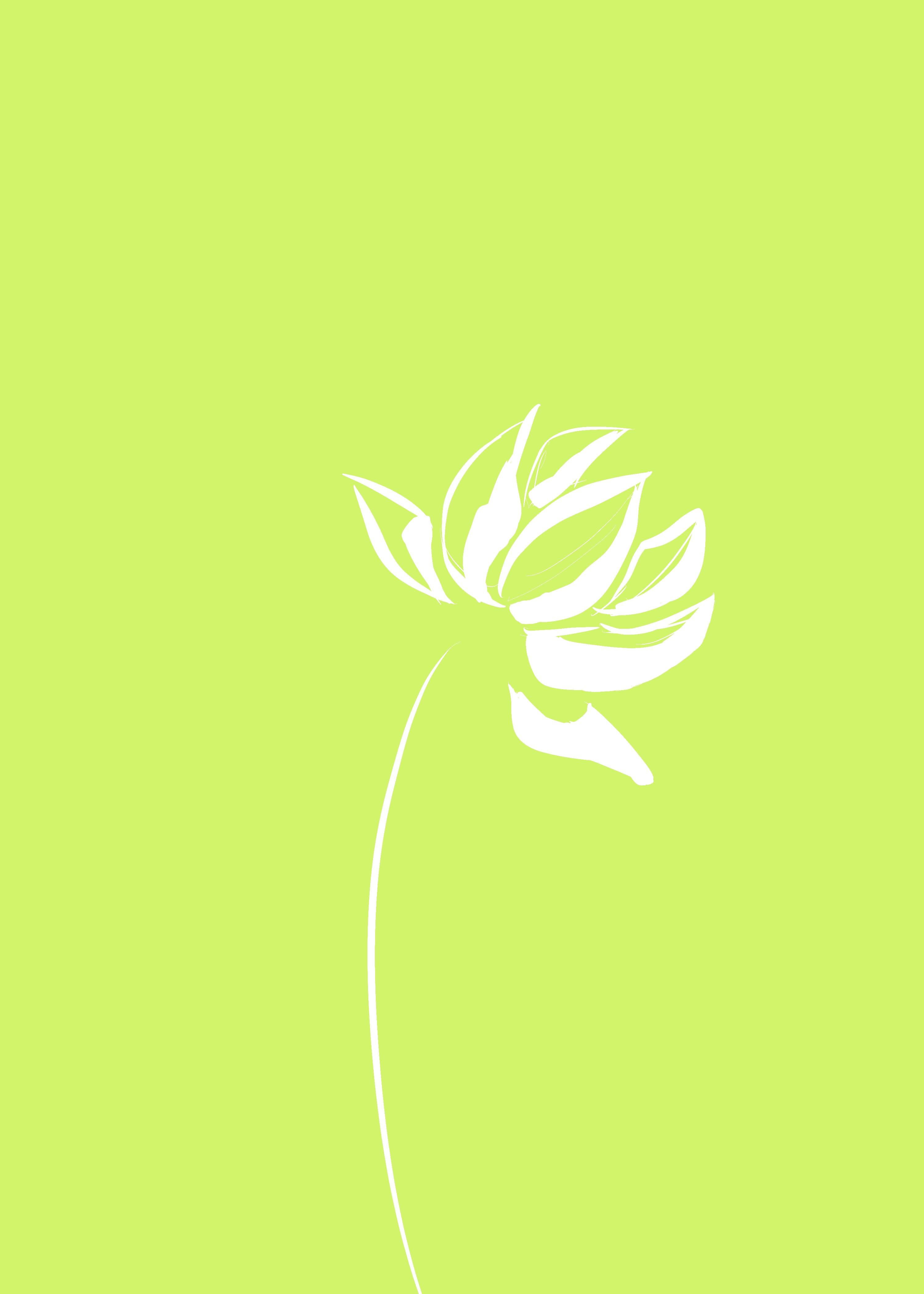 当绿茶遇上白莲花gl