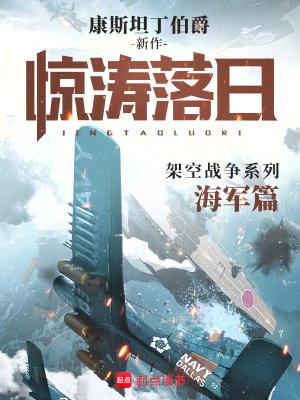惊涛落日txt全文免费阅读