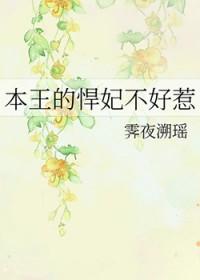 追影猫 官网