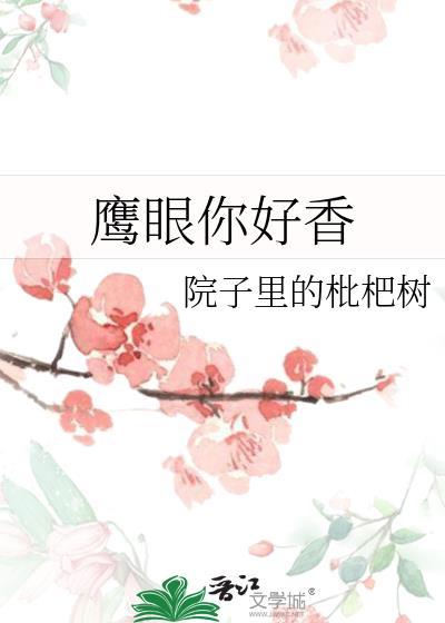 鹰眼续集
