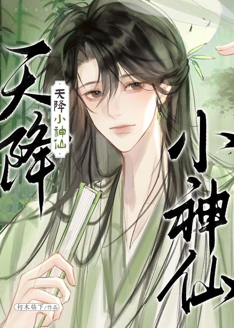 天降神仙媳妇
