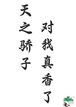我不是天之骄子