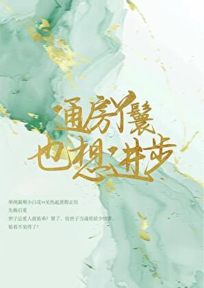 云有起时淮星禾免费阅读