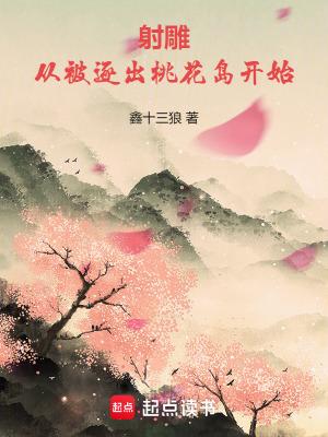 从射雕开始选择