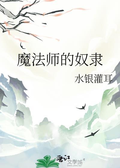 魔法师的奴隶by水银罐耳
