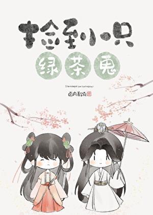 捡到了一只a全文免费阅读