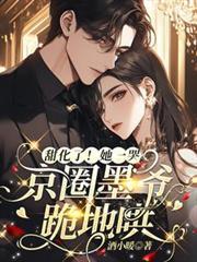 京圈墨爷跪地哄TVT
