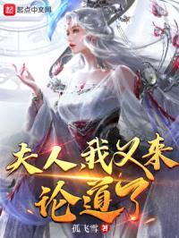 夫人又气我了