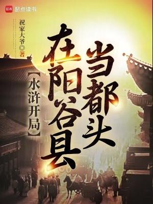 水浒开局在阳谷县当都头百度百科