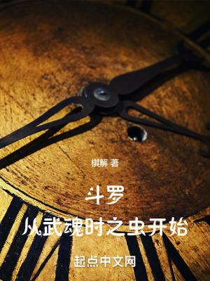 从斗罗开始武魂是魂环