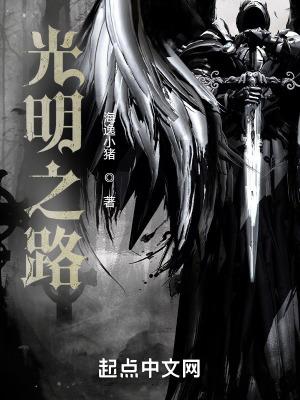 光明之路TXT百度