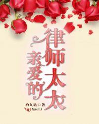 亲爱的律师大人评价