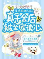 我的美苏雅琴全文阅读