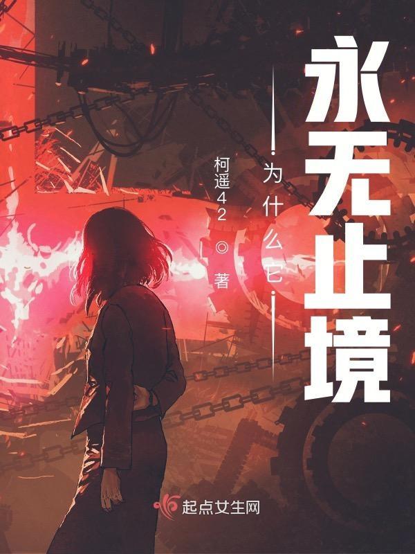 为什么它永无止境完整版txt