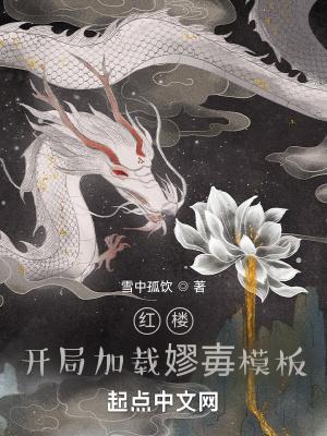 红楼开局加载嫪毐模板加料版