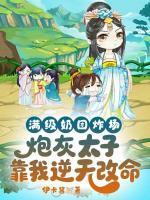 赫连宸风林婉月