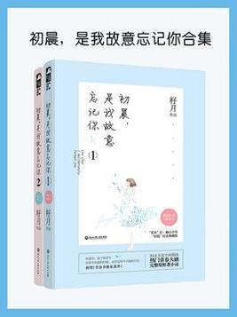 是我故意忘记你 籽月