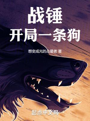 战锤开局一条狗全文TXT