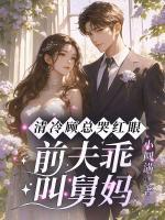 主角叶昭昭