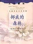 挪威的森林伍佰