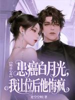 时念陆衍止免费阅读