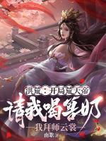 主人公是秦渊的