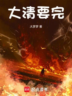 大清要完TXT版