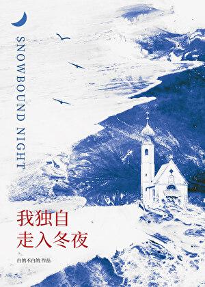 我独自走在寒冷冬夜里