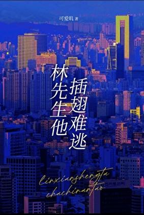 林先生他插翅难逃TXT