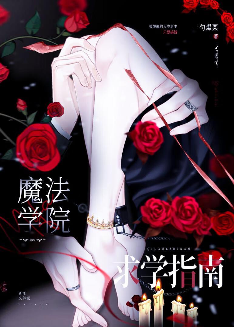 魔法学院学什么的